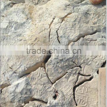 soundless stone cracking powder