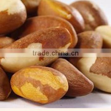 Brazil nuts