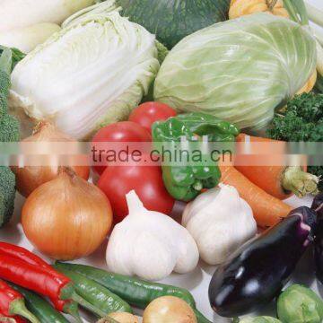 Fresh vegetable