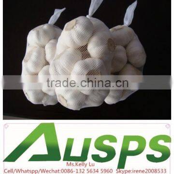 Good Quality Chinese Garlic for Serving