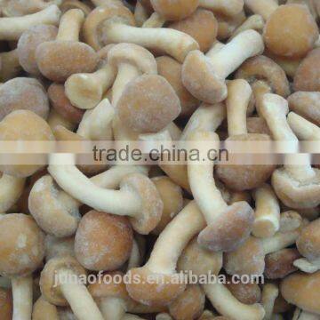 Grade A Chinese Nameko Mushroom Spawn for Sale photo-5
