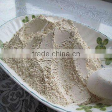 Air Dried Garlic Powder exporter