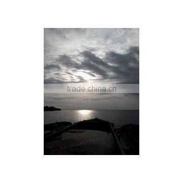 Sand in Reasonable Price photo-3