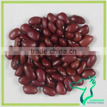 Small Red Kidney Beans 340-360 Size