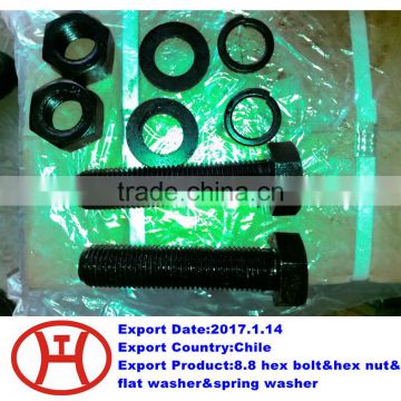 8.8 hex bolt&hex nut&flat washer&spring washer