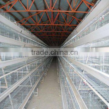 broiler chicken layers cage