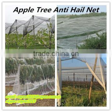 fruit tree anti hail net, hdpe hail protection net, anti hail net, tela antigranizo,contro la grandine rete