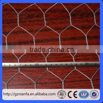 galvanised poultry wire mesh/fish pot wire/galvanized net(Guangzhou Factory)