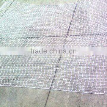 Scaffolding Net