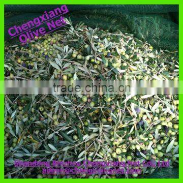 High Quality Agriculture Olive Harvest Net