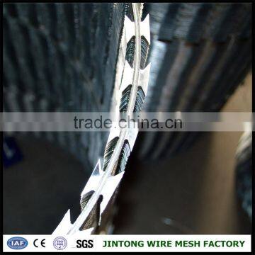 450mm Coil Razor Blade Wire for Wholesale photo-2
