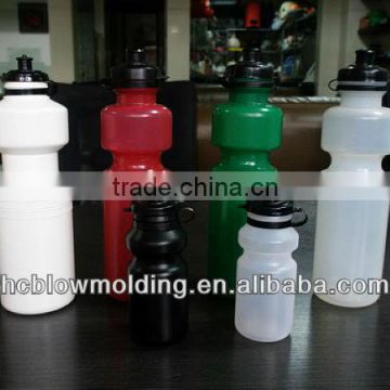 hot sale double wallglass water bottle bamboo top