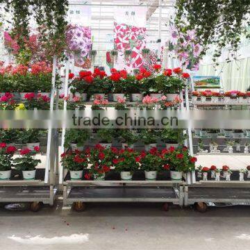 Flower Display Shelf / Flower Trolley/ Flower Transport Cart photo-3