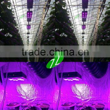High Quality Spider COB Led Grow Light With CE&RoHS Approved 540W COB Led Grow Light photo-5