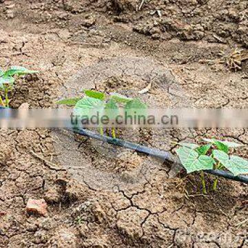 Drip Irrigation Pipe, Drip Inline Pipe, PE Irrigation Pipe photo-5