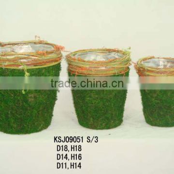 moss flower pot SN248