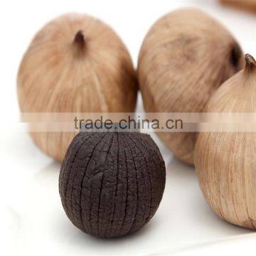 100% Pure Green Snake Food Solo Black Garlic photo-3