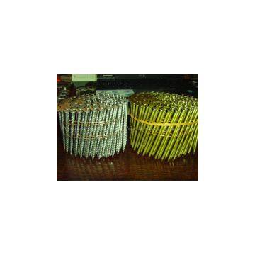 Collated nails /coil nails /wire coil nails