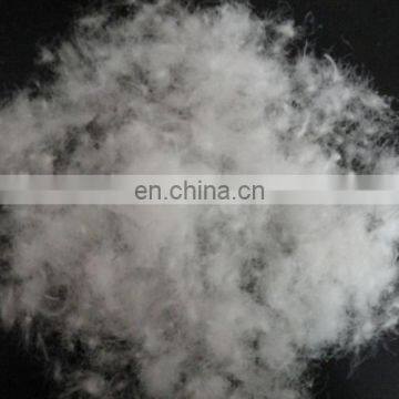 White Duck Down Big Down Cluster High Filling Power, Cleaness, Odorless, Whole Sales