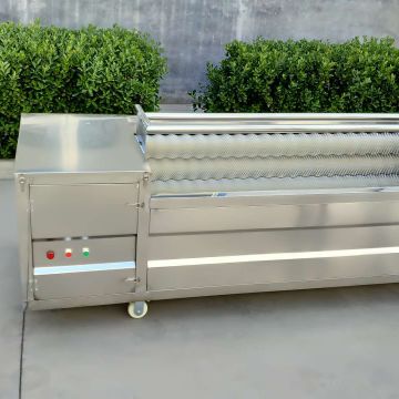 Organic Fruit Wash Industrial Automatic