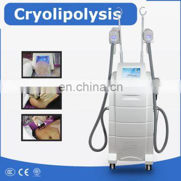 Cryo Liposuction Machine/weight Loss Machine Fat Freeze Machine for Sale photo-2