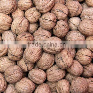 Quality wholesale walnuts