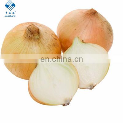 Good Quality Fresh Yellow Onion Peeled or Non-peeled