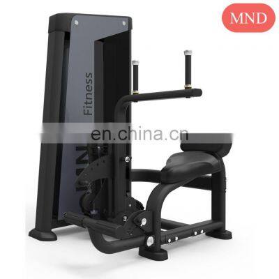 Commercial Discount commercial gym use fitness sports workout FH85 Abdominal/Back extension