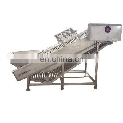 Zhengzhou Runxiang Machinery's Dried Fruit Equipment Is Used for Apples Apricots Plums And Plums