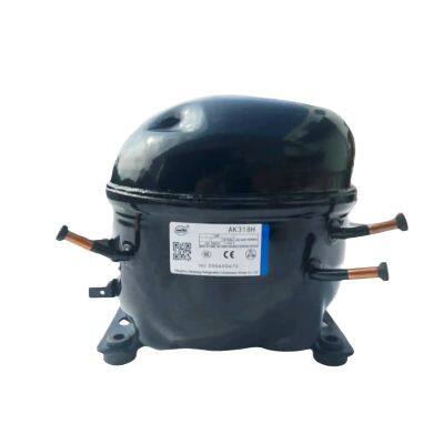 Wansheng Refrigerator & Freezer R134A Compressor AK318H