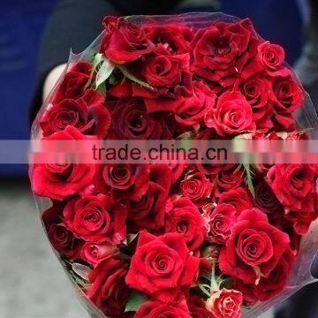 Best quality sprayed rose red rose fresh cut flowers wholesale