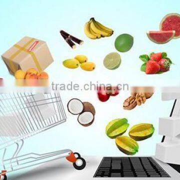 Build Your Ecommerce Website for Business,Internet Marketing Service,website Design,Software Company,website Developers photo-2