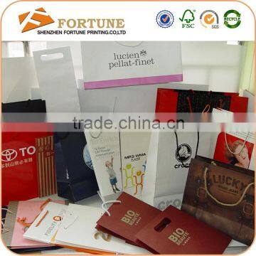 Custom Design Logo Printed Fancy Paper Bag Manufacturer