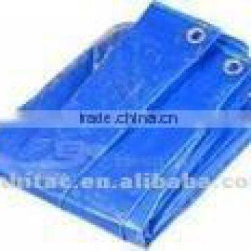 Damp-Proof Or Moistureproof Camping PE Tarps Sheet