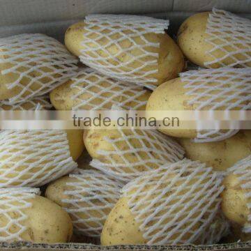 china export fresh potato/long shape potato