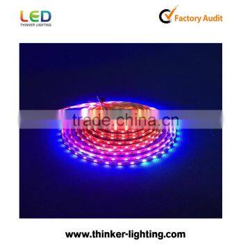 Advertising lighting 720LED WS2812B IC memory card led digital flexible strip with 5v CE&Rohs