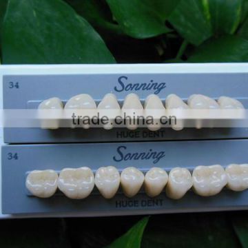 CE certification denture artificial tooth