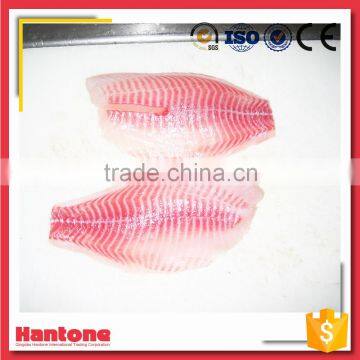 China Frozen IQF Tilapia Fillet