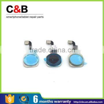 Good productive seeds chinese cabbage seeds wholesale