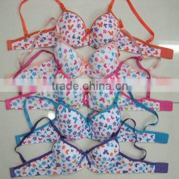 Wholesale Panama Hot Sell Teen Bra for Girls photo-2
