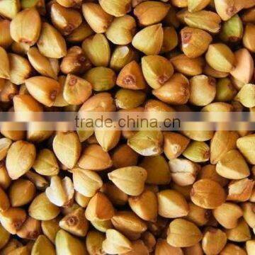 Chinese Roasted Buckwheat Kernel for Georgia Wholesale photo-3