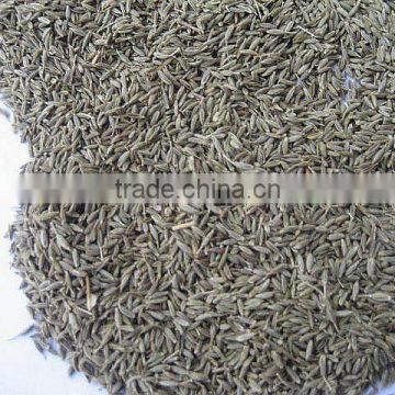 Cumin Seeds