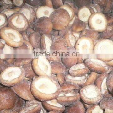 IQF Shiitake Mushroom photo-2