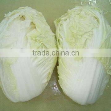 Fresh chinese cabbage