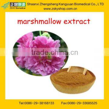 High Quality 100% Natural Marshmallow Leaf Extract from GMP Factory