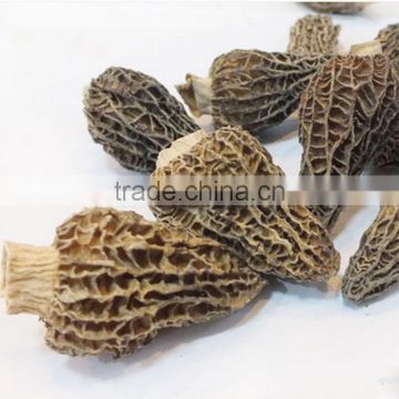 dried morel mushrooms for sale