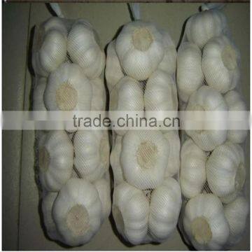 2016 New Crop Bulk Garlic With Competitive Price photo-5