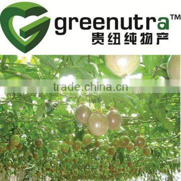 Passiflora Extract
