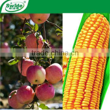 low price humic acid fertilizers