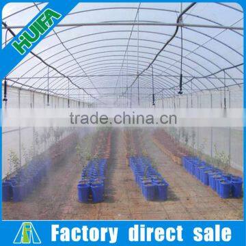 Economical Arch Roof Type Tunnel Greenhouse Steel Structure Greenhouse Panels photo-3